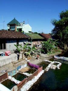 Fish farms along the river