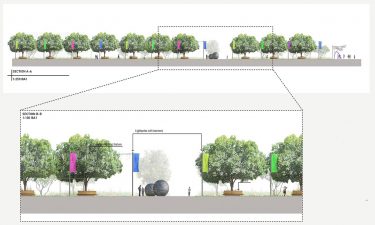 Sections of Albury Cultural Precinct